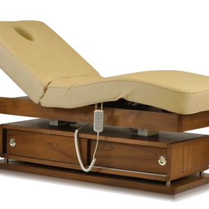 Mudit Electric Spa Bed