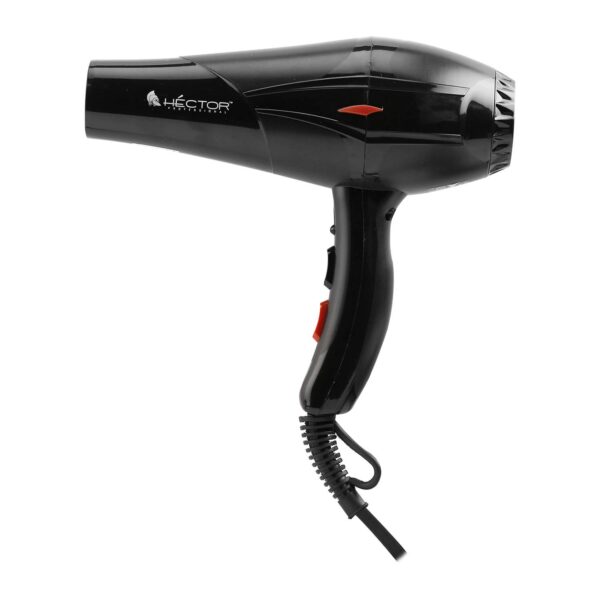 HECTOR Professional Ht 2300 Watts Dryer